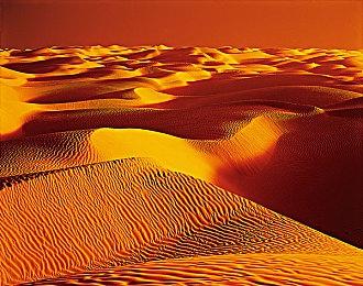 动视已开始对新的AI游戏作弊工具采取行动